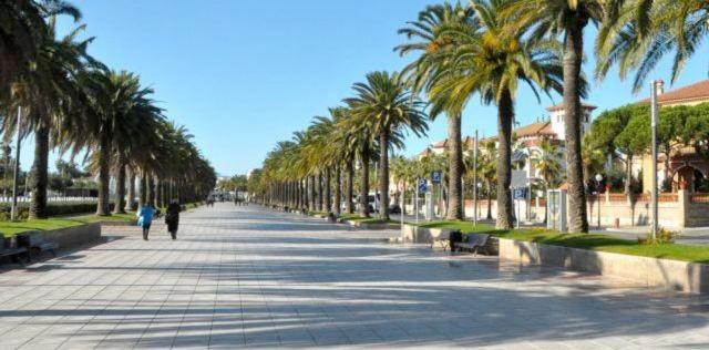Apartamento Salou Playa Jaime I المظهر الخارجي الصورة